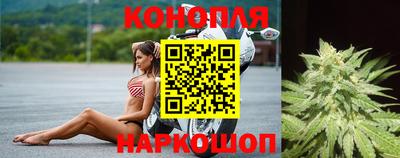 индика Краснознаменск
