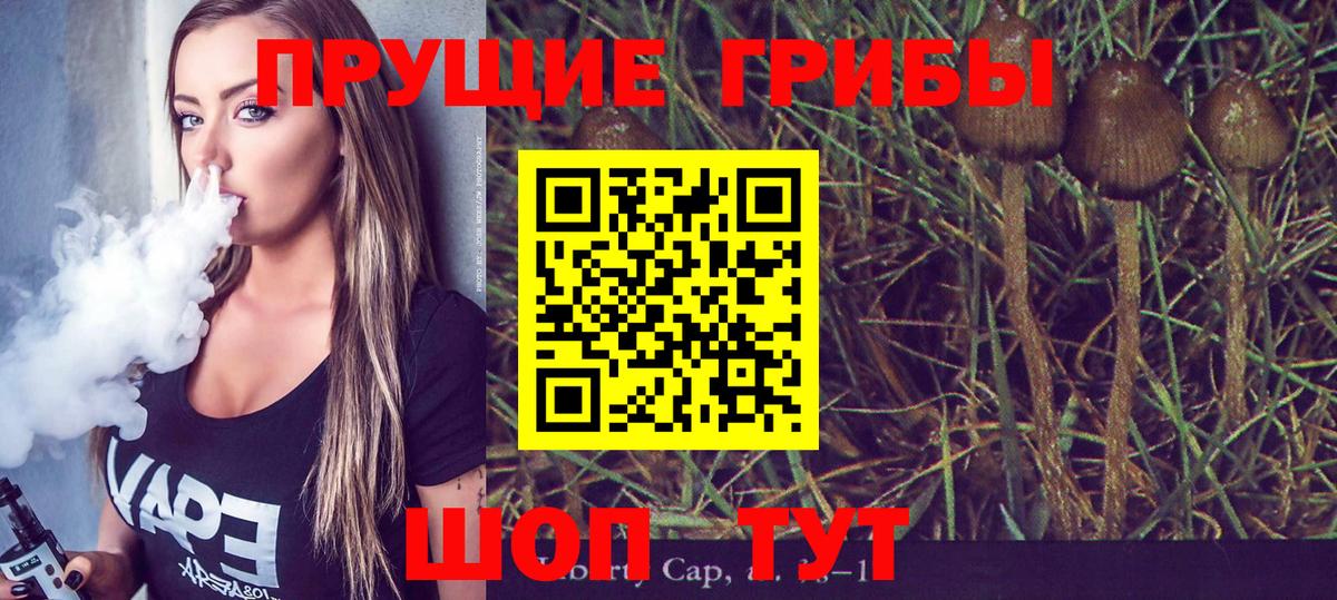 Еманжелинск  Псилоцибиновые грибы Cubensis  Вход с VPN 