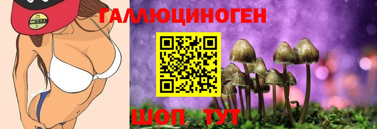 Псилоцибиновые грибы Psilocybine cubensis Еманжелинск